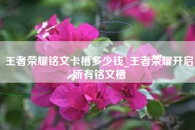 王者荣耀铭文卡槽多少钱_王者荣耀开启所有铭文槽