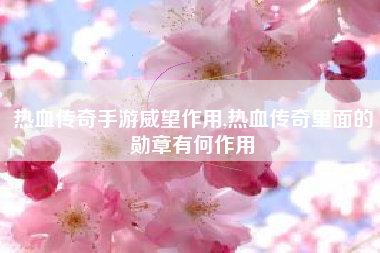 热血传奇手游威望作用,热血传奇里面的勋章有何作用