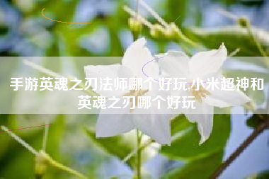 手游英魂之刃法师哪个好玩,小米超神和英魂之刃哪个好玩