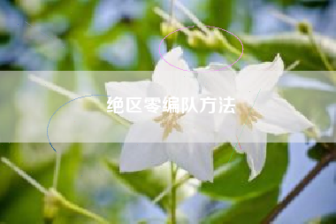 绝区零编队方法