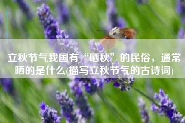 立秋节气我国有“晒秋”的民俗，通常晒的是什么(描写立秋节气的古诗词)