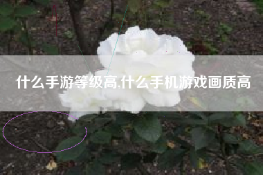什么手游等级高,什么手机游戏画质高