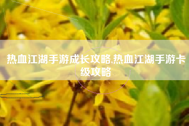 热血江湖手游成长攻略,热血江湖手游卡级攻略