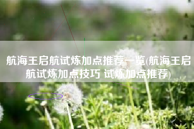航海王启航试炼加点推荐一览(航海王启航试炼加点技巧 试炼加点推荐)