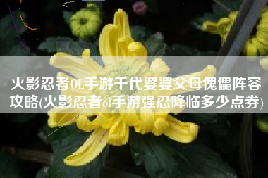 火影忍者OL手游千代婆婆父母傀儡阵容攻略(火影忍者ol手游强忍降临多少点券)