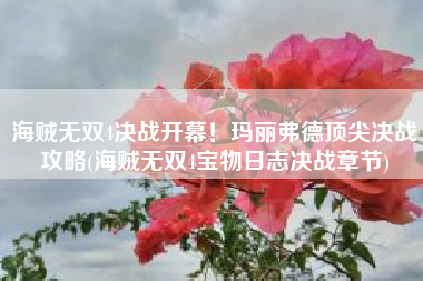 海贼无双4决战开幕！玛丽弗德顶尖决战攻略(海贼无双4宝物日志决战章节)