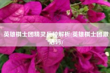 英雄棋士团精灵兵种解析(英雄棋士团激活码)