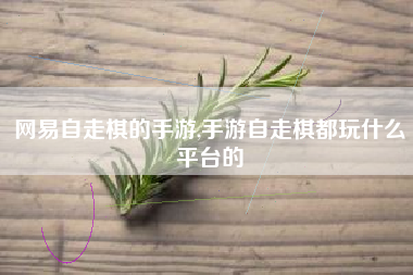 网易自走棋的手游,手游自走棋都玩什么平台的