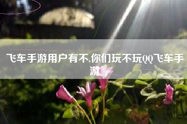 飞车手游用户有不,你们玩不玩QQ飞车手游