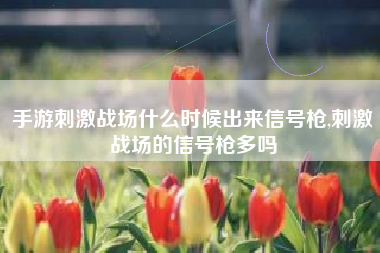 手游刺激战场什么时候出来信号枪,刺激战场的信号枪多吗