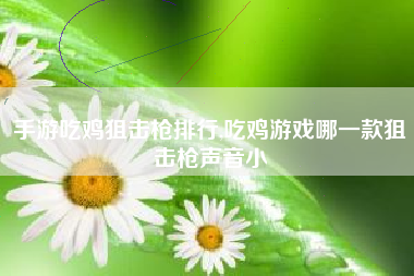 手游吃鸡狙击枪排行,吃鸡游戏哪一款狙击枪声音小