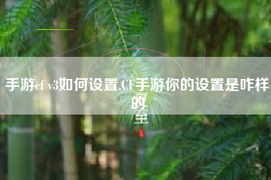 手游cf v3如何设置,CF手游你的设置是咋样的