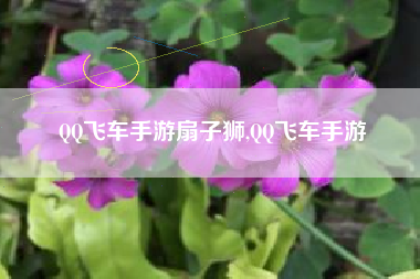 QQ飞车手游扇子狮,QQ飞车手游