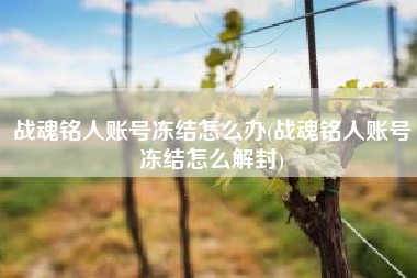 战魂铭人账号冻结怎么办(战魂铭人账号冻结怎么解封)