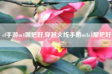 cf手游m4哪把好,穿越火线手游m4a1那把好