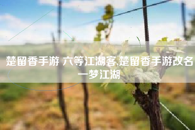 楚留香手游 六等江湖客,楚留香手游改名一梦江湖