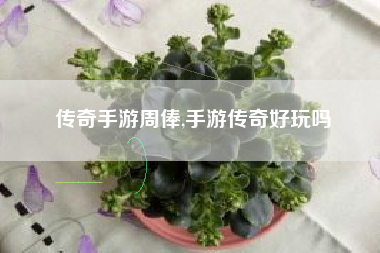 传奇手游周俸,手游传奇好玩吗
