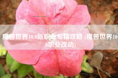 魔兽世界10.0新职业专精攻略 (魔兽世界10.0职业改动)