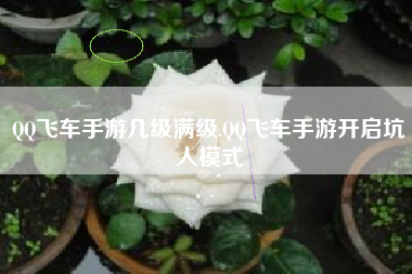 QQ飞车手游几级满级,QQ飞车手游开启坑人模式