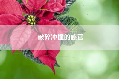 破碎冲撞的感官
