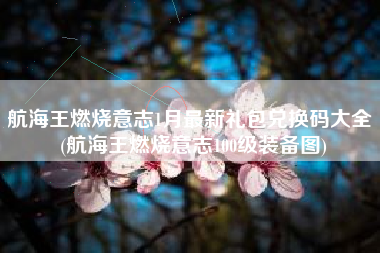 航海王燃烧意志1月最新礼包兑换码大全 (航海王燃烧意志100级装备图)