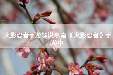 火影忍者手游解说小南,《火影忍者》手游中