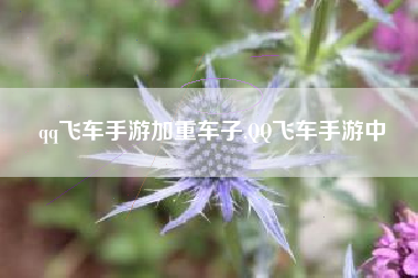 qq飞车手游加重车子,QQ飞车手游中