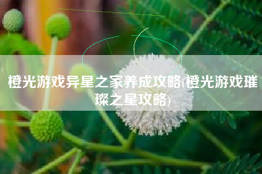 橙光游戏异星之家养成攻略(橙光游戏璀璨之星攻略)