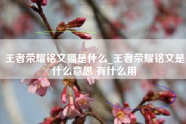 王者荣耀铭文猫是什么_王者荣耀铭文是什么意思 有什么用