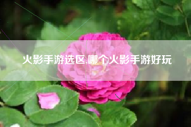 火影手游选区,哪个火影手游好玩