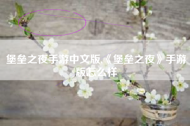 堡垒之夜手游中文版,《堡垒之夜》手游版怎么样