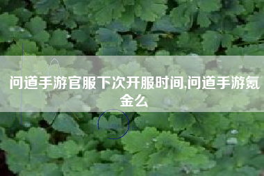 问道手游官服下次开服时间,问道手游氪金么