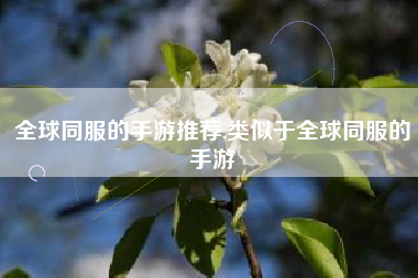 全球同服的手游推荐,类似于全球同服的手游