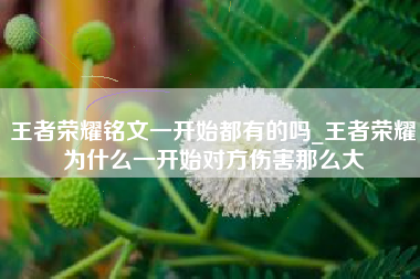 王者荣耀铭文一开始都有的吗_王者荣耀为什么一开始对方伤害那么大