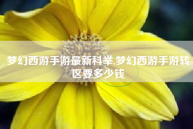梦幻西游手游最新科举,梦幻西游手游转区要多少钱