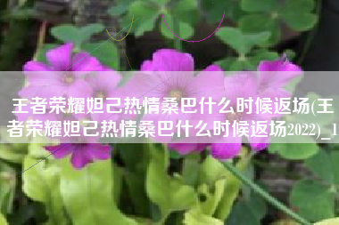 王者荣耀妲己热情桑巴什么时候返场(王者荣耀妲己热情桑巴什么时候返场2022)_1