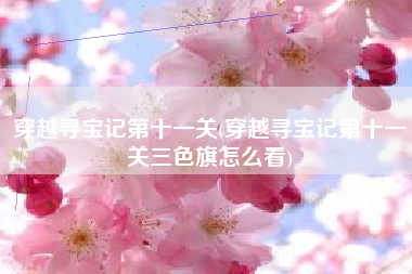 穿越寻宝记第十一关(穿越寻宝记第十一关三色旗怎么看)