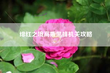 绯红之境高斯黑蜂机关攻略