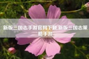 新版三国志手游官网下载,新版三国志策略手游