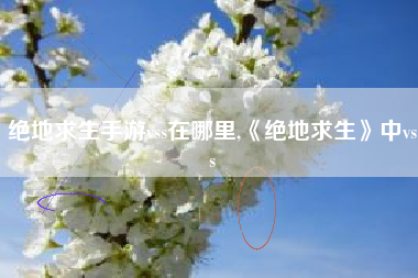 绝地求生手游vss在哪里,《绝地求生》中vss