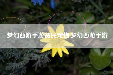 梦幻西游手游贫民宠物,梦幻西游手游