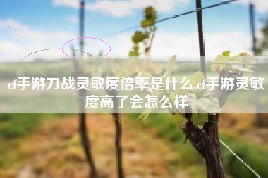 cf手游刀战灵敏度倍率是什么,cf手游灵敏度高了会怎么样