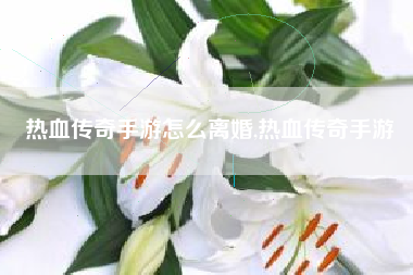 热血传奇手游怎么离婚,热血传奇手游