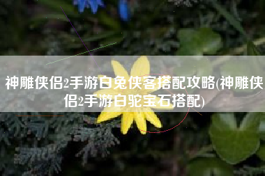 神雕侠侣2手游白兔侠客搭配攻略(神雕侠侣2手游白驼宝石搭配)