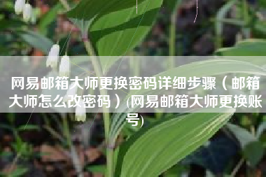 网易邮箱大师更换密码详细步骤（邮箱大师怎么改密码）(网易邮箱大师更换账号)