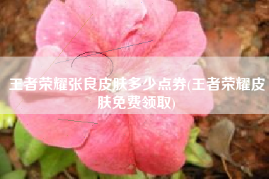 王者荣耀张良皮肤多少点券(王者荣耀皮肤免费领取)