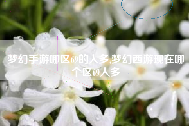 梦幻手游哪区69的人多,梦幻西游现在哪个区69人多