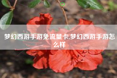 梦幻西游手游免流量卡,梦幻西游手游怎么样