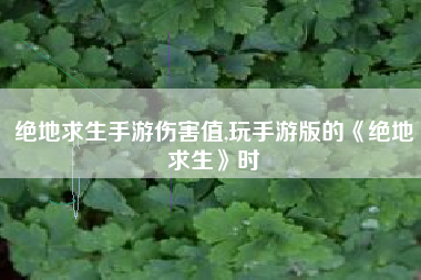 绝地求生手游伤害值,玩手游版的《绝地求生》时