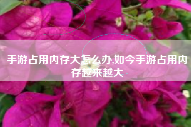 手游占用内存大怎么办,如今手游占用内存越来越大